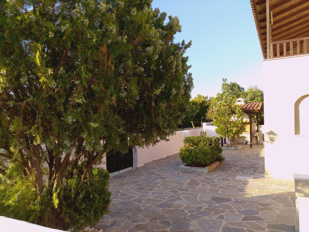 Explore Aegina Island Souvala Extérieur photo